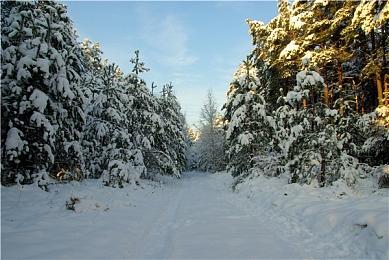 2D格斗游戏《Blazing Strike》确定今年夏季发售